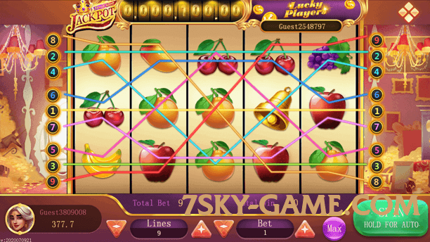 winpkr v8.0.0 Screenshot 1